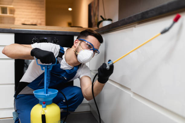 Best Best Pest Control Companies  in Head Of The Harbor, NY