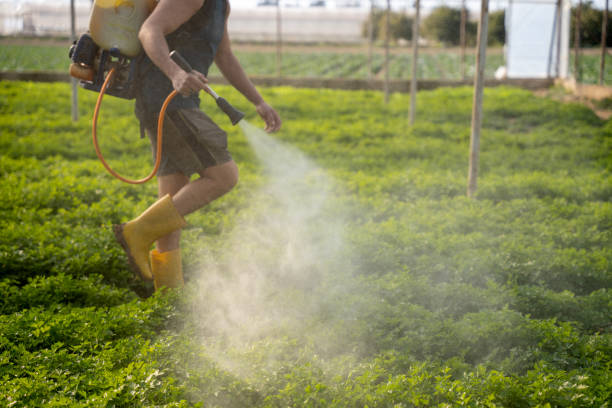 Best Commercial Pest Control Services  in Head Of The Harbor, NY