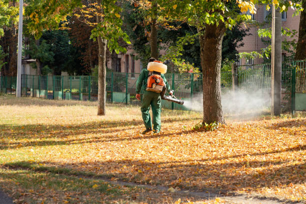 Best Pest Removal Services  in Head Of The Harbor, NY